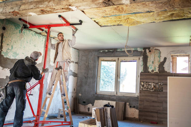 Best Insulation Contractors for Homes  in Antigo, WI