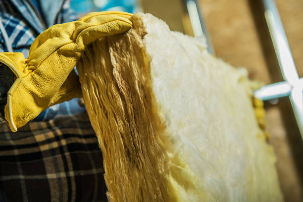 Best Home Insulation Services  in Antigo, WI