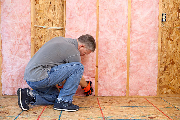 Best Crawl Space Insulation  in Antigo, WI