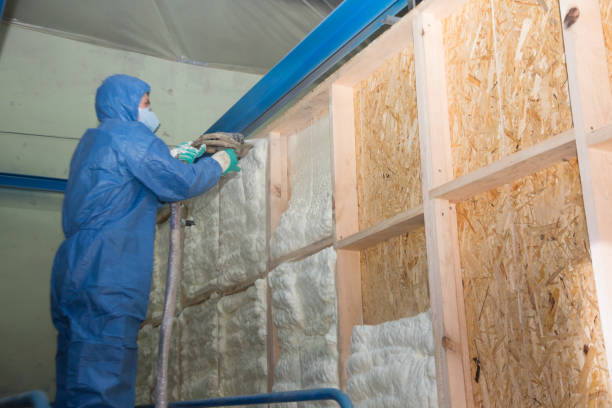 Best Soundproof Insulation Installation  in Antigo, WI
