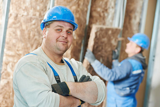 Best Insulation Removal  in Antigo, WI